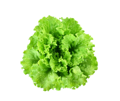 Image de Salade Verte - (à l'unité)