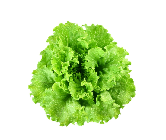 Image de Salade Verte - (à l'unité)