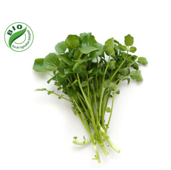 Image de Salade cresson - (100g)