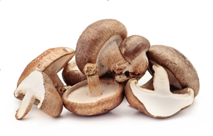 Image de Champignon Portobello - (250g)