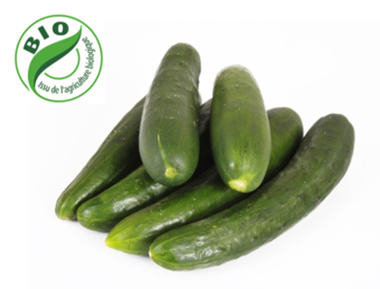 Image de Concombre épineux - (Au Kg)